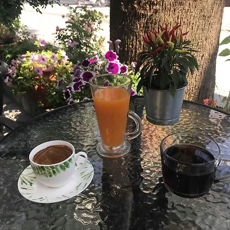 Alkyonari By Maria 3*